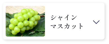 シャインマスカット