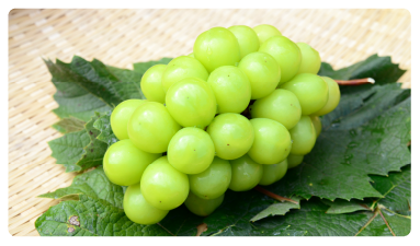 シャインマスカット