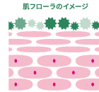 ［肌イメージ］