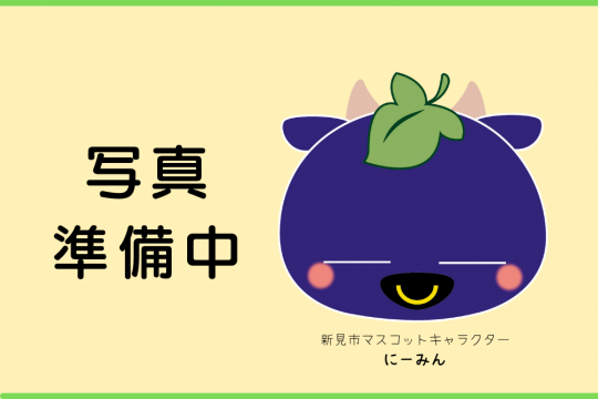 マジパン細工 グッズ 新見市公式観光サイト