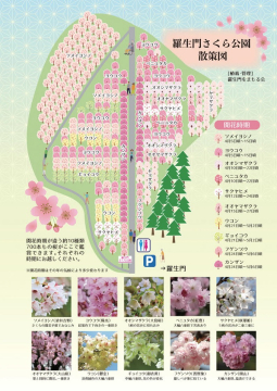 ステージ発表