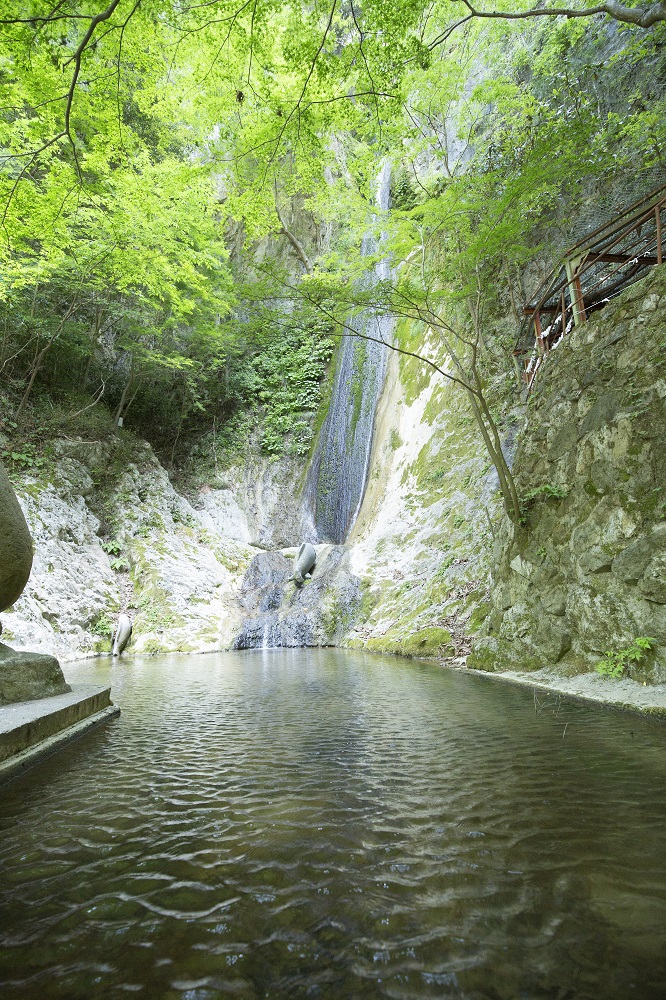 絹掛の滝 スポット にいみ公式観光ホームページ
