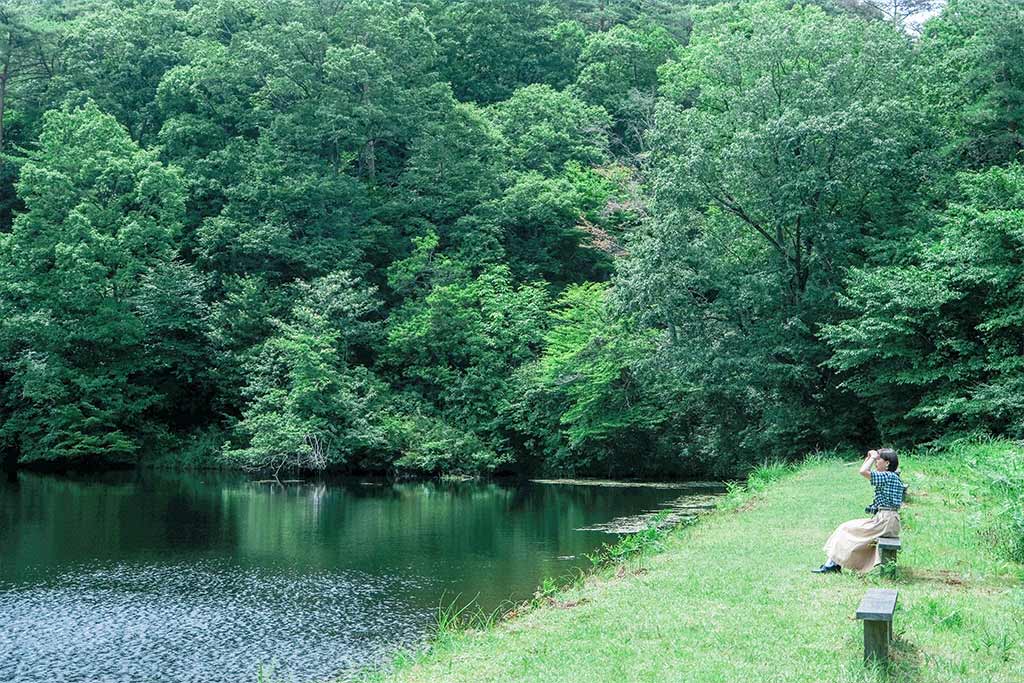 鲤窪湿原