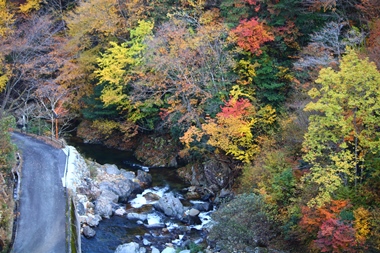 秋の雰囲気に包まれた三室峡に癒されます！