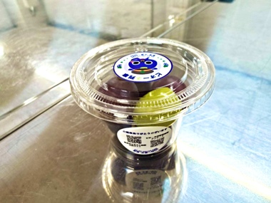 新見ピオーネ列車！