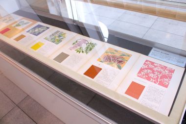 新見市立中央図書館に展示されています