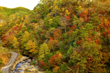 峡谷沿いを歩いてリフレッシュ！春は石楠花、秋は紅葉を楽しむことができる岡山県新見市の紅葉スポット「三室峡」です。