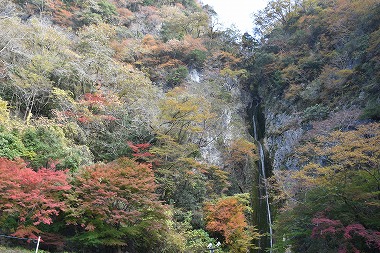 国道からもアクセス良好な新見市の南玄関口に位置する、岡山県新見市の紅葉スポット「絹掛の滝」です。