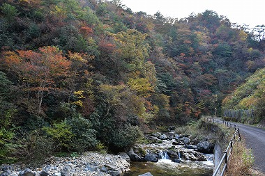 峡谷沿いを歩いてリフレッシュ!春は石楠花、秋は紅葉を楽しむことができる岡山県新見市の紅葉スポット「三室峡」です。