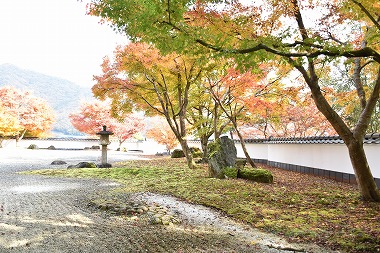 市内中心部に位置し、アクセス良好な岡山県新見市の紅葉スポット「新見美術館」です。