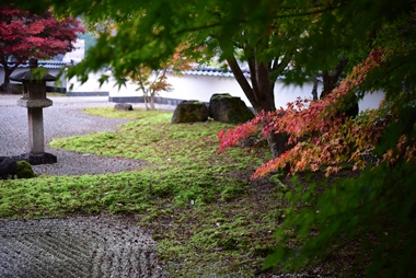 新見美術館の庭園では紅葉も楽しめます!