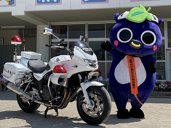 新見市マスコットキャラクター「にーみん」はピオーネから生まれた千屋牛のこどもです。