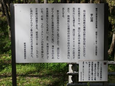 宇山洞