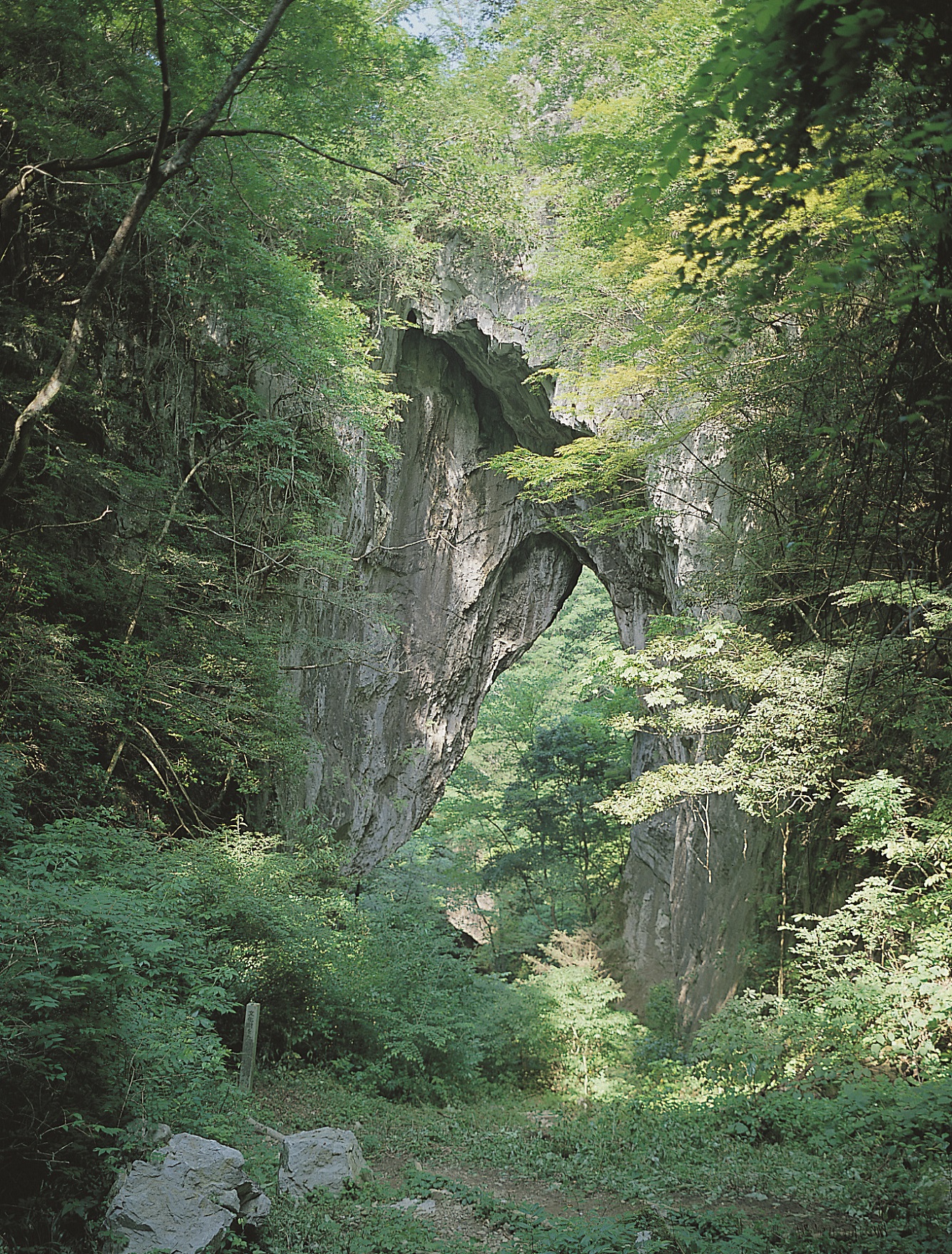 国指定天然記念物「羅生門」 | くらしのガイド | 新見市 | 岡山県新見
