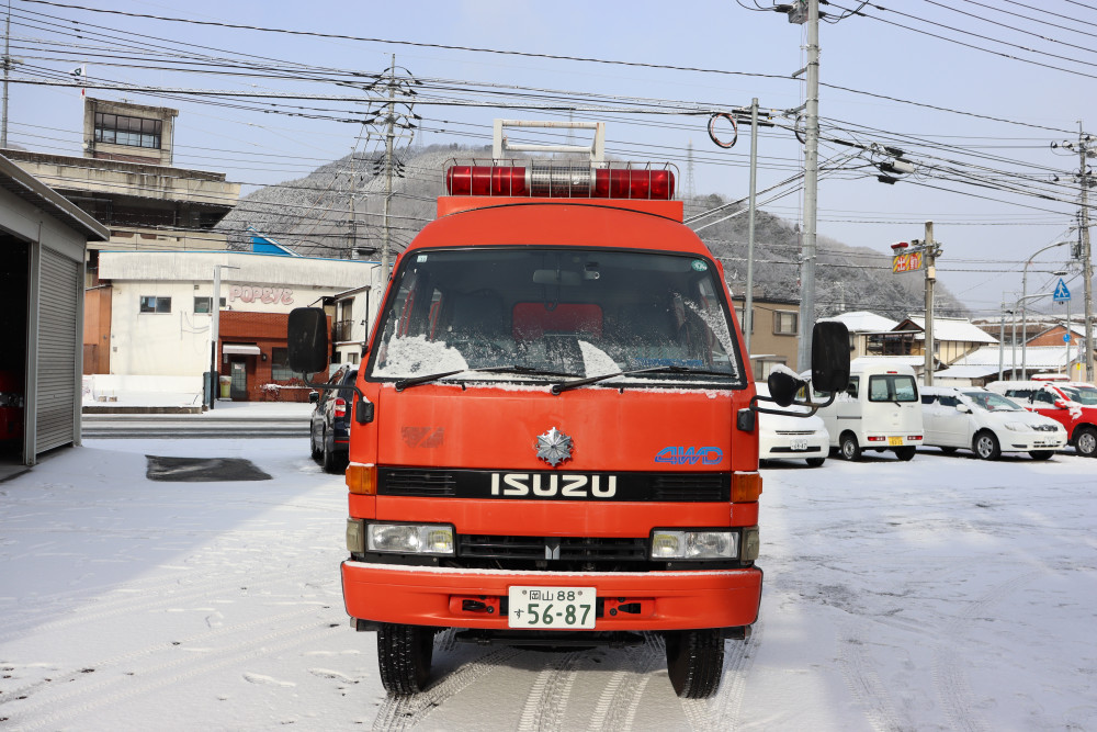 エルフの写真（前）